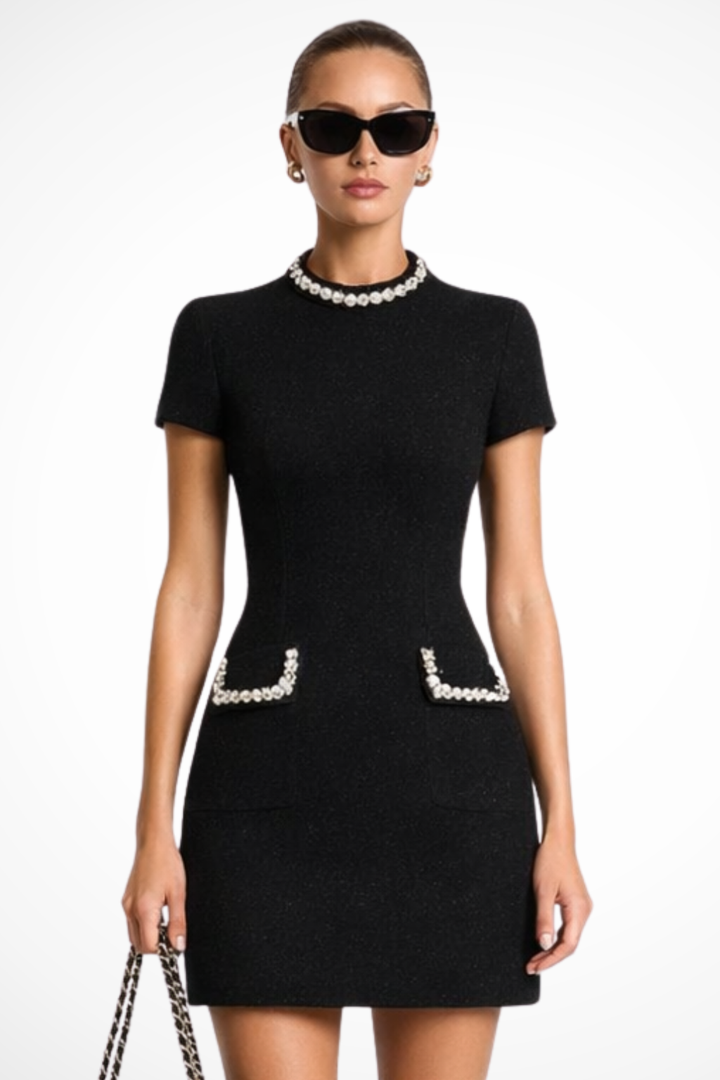 Women's Mini Dress Lace Slim Fit Short Sleeve High Neck Pockets