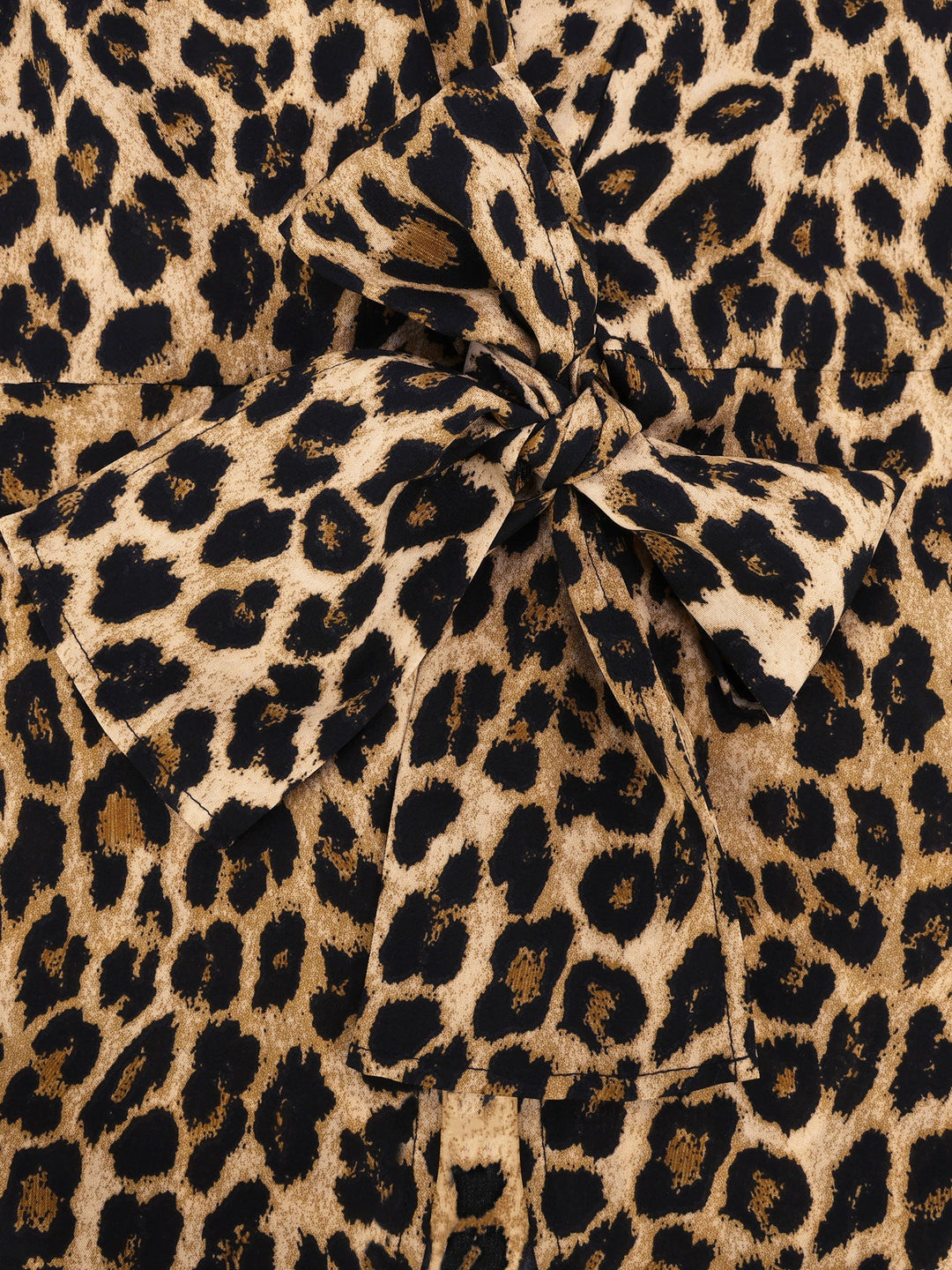 Women's Blouse Leopard Print Button-Up Long Sleeve Regular Fit V-Neck